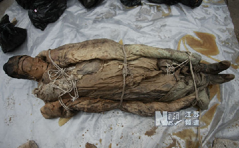 江蘇泰州發(fā)現(xiàn)明代不腐女尸 睫毛清晰可見