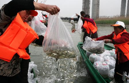 江蘇泰州放魚(yú)節(jié) 50萬(wàn)尾魚(yú)種入長(zhǎng)江