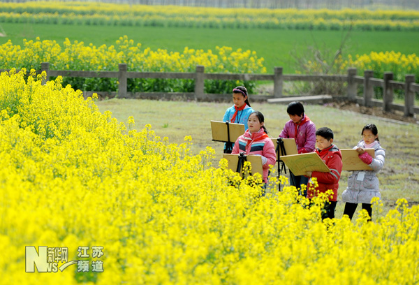 燦爛油菜花 學(xué)生寫生忙
