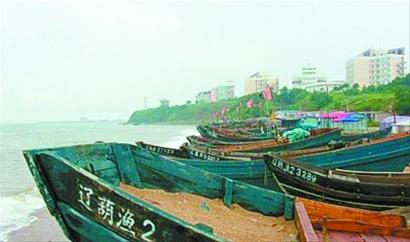 記者走基層:誰(shuí)動(dòng)了我們的海蜇？