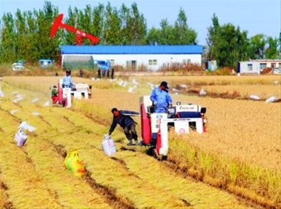 遼寧糧食生產(chǎn)實(shí)現(xiàn)“九連豐”