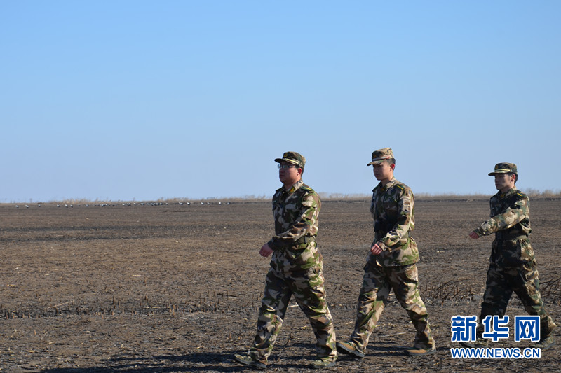 盤錦邊防打造“綠色通道”為遷徙候鳥保駕護(hù)航