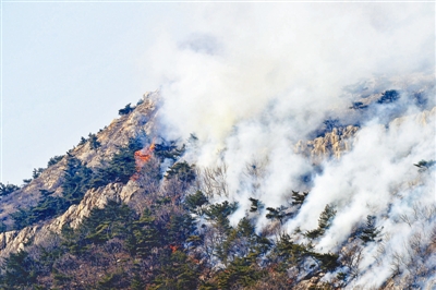 大連大黑山突發(fā)火災(zāi)致5人死亡 300余人前往撲救