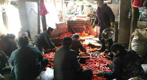 沈陽胡蘿卜嚴重滯銷：微博引發(fā)“網(wǎng)絡救災”