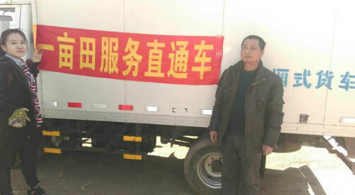 沈陽胡蘿卜嚴重滯銷：微博引發(fā)“網(wǎng)絡救災”