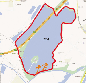 沈陽(yáng)：7月到丁香湖賞“花海”（圖）