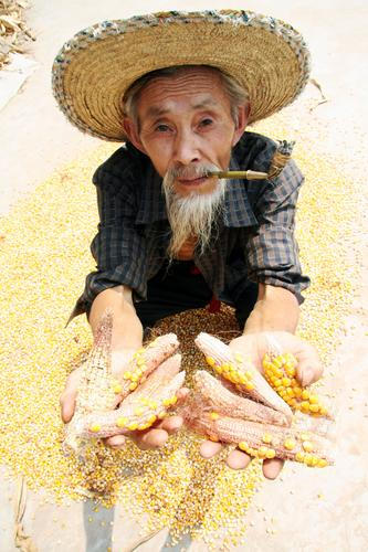 中國農(nóng)業(yè)融入世界大舞臺(tái) 已成為第四大進(jìn)口國