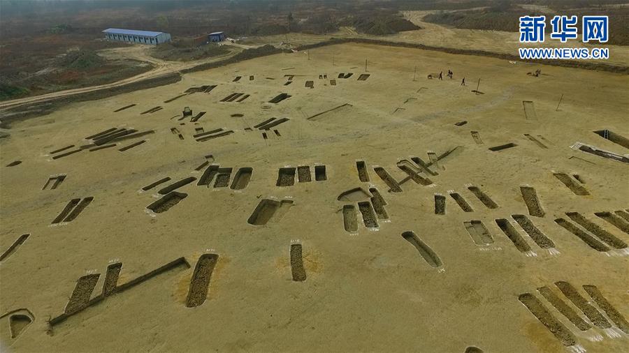 成都發(fā)現(xiàn)春秋戰(zhàn)國大型船棺墓群 如地下青銅器寶庫