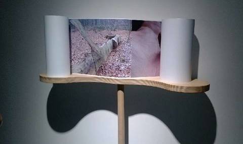 比利時“浪游”藝術(shù)展“牽手”成都當代美術(shù)館