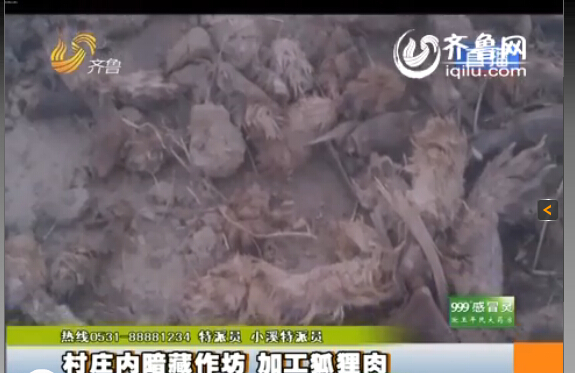 臨沂：村莊內(nèi)暗藏小作坊 日加工死狐貍?cè)馍习賴?/></p>

<p><strong>臨沂</strong>齊魯網(wǎng)<strong>11月13日訊</strong>同樣的一袋肉，在這家超市是羊肉，到了另一家超市變成了驢肉，再換一家超市又成了狗肉，然而這是一袋最不應(yīng)該出現(xiàn)在消費(fèi)者餐桌上的肉，為了消費(fèi)者的食品安全，記者冒著風(fēng)險連續(xù)三天的暗訪，究竟是什么肉呢？</p>

<p>據(jù)山東廣播電視臺齊魯頻道《小溪辦事》欄目報道，這是臨沂河?xùn)|區(qū)鳳凰嶺街道的潘家湖村，一進(jìn)村記者就聞到了引人做嘔的腥臭味，爆料人稱這是村里人加工肉的味道，而且全村每家每戶都參與加工肉的工作，這也成為全村人的主要經(jīng)濟(jì)來源?！斑@是暴利，一天掙大（近）萬多塊錢，這不暴利嗎？這味太大了，我在里面聞不了?！?/p>

<p>記者在看到村里的街道上到處都是動的肝臟和爪子，街道上每隔十幾米就有一個加工肉的作坊，報料人稱加工肉的作坊沒有任何手續(xù)，而他們加工的究竟是什么肉呢？</p>

<p>爆料人拿著起一袋肉稱：“這就是他們當(dāng)狗肉賣的狐貍凍！肉凍是用水和膠勾兌的，再把肉摻在一起?！边@包裝的“農(nóng)家風(fēng)味”，竟然是狐貍?cè)狻Ｓ浾卟榭赐獍b，沒任何的生產(chǎn)廠家、生產(chǎn)日期和保質(zhì)期，更沒有任何國家食用標(biāo)準(zhǔn)的三無產(chǎn)品，而爆料人稱這些三無產(chǎn)品非常暢銷，“山東德州、內(nèi)蒙古、南方一帶江蘇銷量比較大”。</p>

<p>記者從爆料人那里了解到，這狐貍?cè)猱a(chǎn)品可不止狐貍凍這一種，而是五花八門什么肉都有，利潤非?？捎^?！坝褪裁吹摹⒏问裁吹亩假u了，沒有扔的，還有狐貍骨頭架子，這些東西都賣了，沒有剩下的東西，當(dāng)成狗肉、牛肉、羊肉這些肉賣了，以次充好！”爆料人還稱：“他們的利潤空間非常大，一個冬天大約能賺好十幾萬?！?/p>
</p>
</div>
</div>

<div   class=