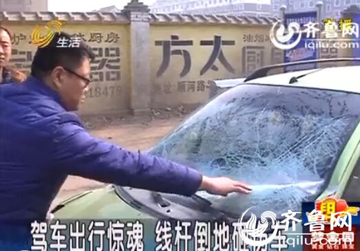 電線桿突然倒掉 高密一市民汽車前擋被砸無處追責(zé)
