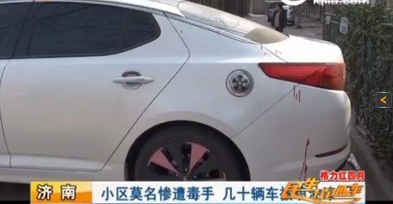 濟(jì)南一小區(qū)幾十輛車慘遭毒手 被“神秘人”噴上油漆