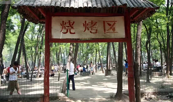 濟(jì)南春游最強(qiáng)攻略 野外燒烤賞花約起來(lái)！