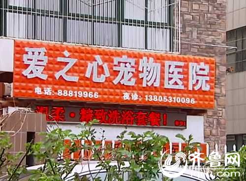 泰山小動物保護中心窘?jīng)r：狗糧緊缺 下山買水挺貴