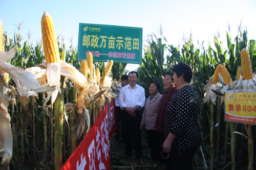 山東郵政：發(fā)揮郵政網(wǎng)絡(luò)優(yōu)勢(shì)，建立“三農(nóng)”服務(wù)體系