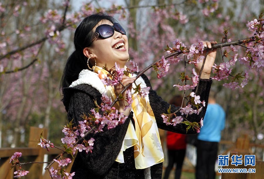 2012上海櫻花節(jié)“櫻之緣”攝影賽開拍