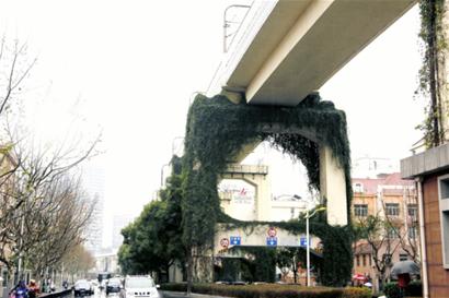 爬山虎瘋長或危及地鐵 地鐵方：已開展針對性養(yǎng)護