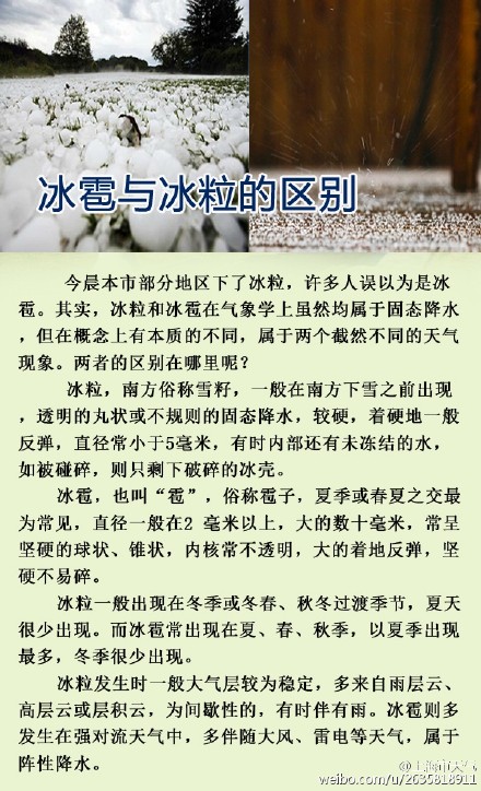 上海今日突下冰粒 網(wǎng)友：噼里啪啦好像下鉆石