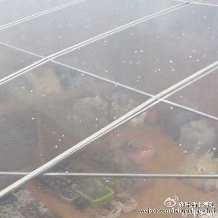 上海今日突下冰粒 網(wǎng)友：噼里啪啦好像下鉆石
