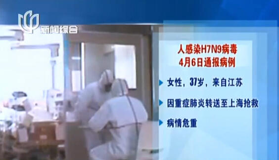 上海再現(xiàn)感染H7N9病毒病例 發(fā)病率與活禽交易有關(guān)