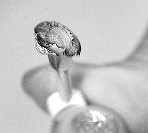 網(wǎng)傳美瞳片熔化致盲 經(jīng)實驗證明傳言不靠譜