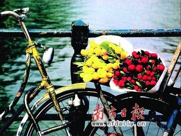 情人節(jié)怎么過最幸福？單身情侶過節(jié)攻略（組圖）