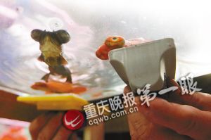 重慶退休工現(xiàn)場(chǎng)表演揭秘春晚金魚(yú)魔術(shù)(組圖)
