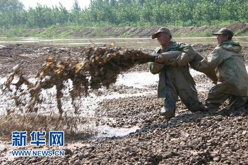 中國人均耕地面積僅為世界40% 18億畝紅線面臨挑戰(zhàn)