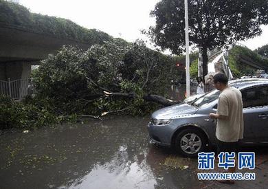 廣東發(fā)生雷雨大風冰雹災害 已造成12人死亡