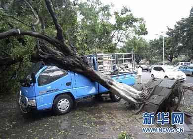 廣東發(fā)生雷雨大風(fēng)冰雹災(zāi)害 已造成12人死亡