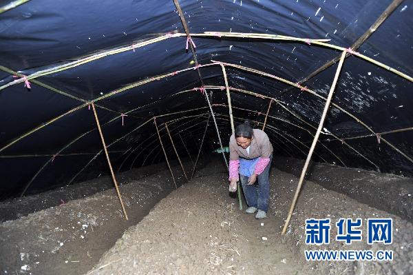 貴州10個縣區(qū)遭受冰雹災(zāi)害 損失嚴重