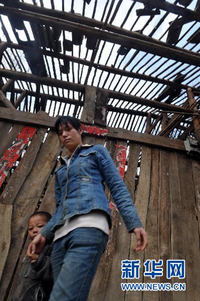 貴州10個縣區(qū)遭受冰雹災害 損失嚴重