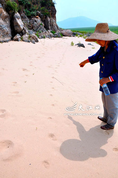 鄱陽湖小磯山疑現(xiàn)