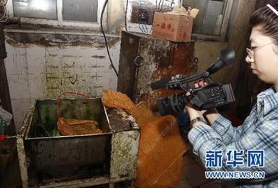 專家答疑：我國食品安全標(biāo)準(zhǔn)