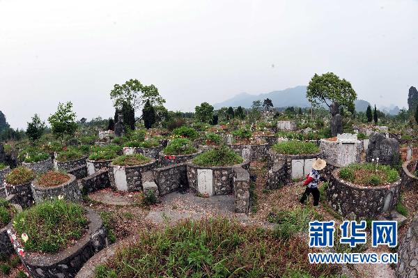 6萬(wàn)座私墳入侵靖江王陵 國(guó)家級(jí)保護(hù)單位亂象叢生
