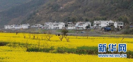 盤點(diǎn)一周“網(wǎng)絡(luò)熱詞” 故宮大盜上榜