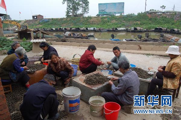 國家級(jí)濕地保護(hù)區(qū)龍感湖因旱被迫延長禁漁期(圖)