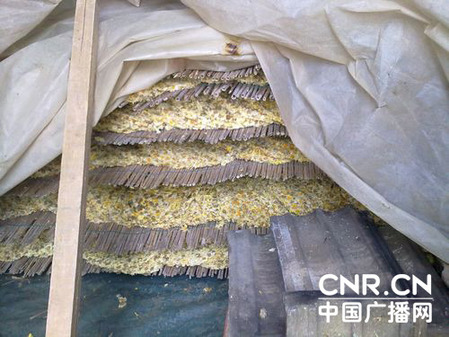 江蘇射陽每年200噸毒菊花入市 商販稱無人檢測(cè)