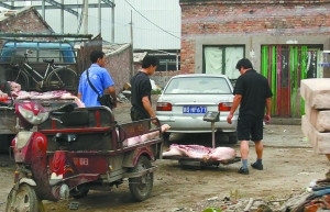 如何斬斷“泔水豬”利益鏈？