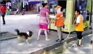 環(huán)衛(wèi)工遭狗主人追罵