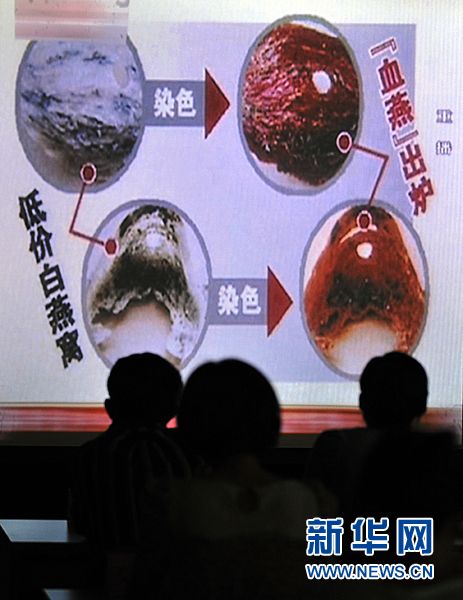 故宮回應(yīng)“十重門”受關(guān)注 盤點一周網(wǎng)絡(luò)熱詞