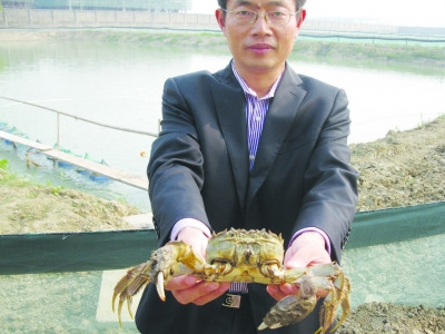 一斤重大閘蟹15萬 “天價蟹”背后疑點重重(圖)