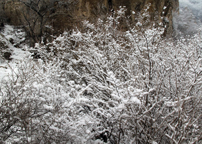 北京迎來入冬后第二場(chǎng)雪 冬日京城八大賞雪勝地