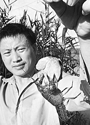 我外來(lái)入侵物種400多種 年經(jīng)濟(jì)損失1200億