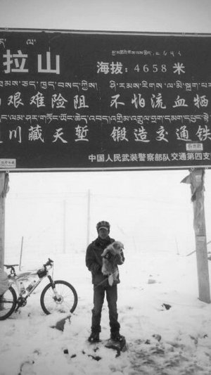 流浪狗跟隨驢友奔跑千余公里征服青藏高原感動網(wǎng)友