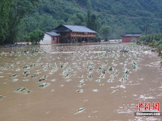 中國(guó)南方迎新一輪強(qiáng)降雨 各地加強(qiáng)部署防災(zāi)減災(zāi)