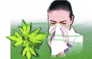 哪些外來生物已經(jīng)入侵北京？