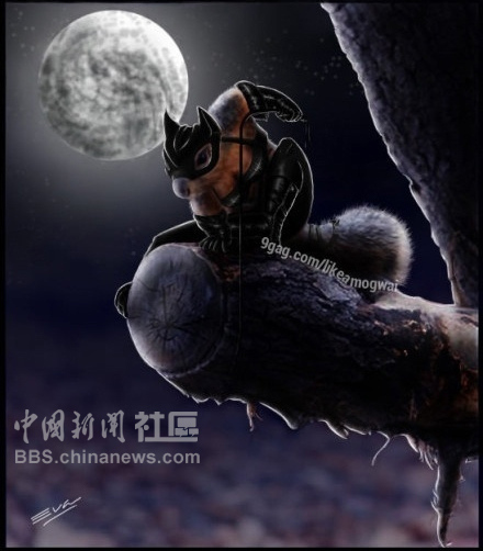 元芳很忙！細數(shù)那些一個不小心就火起來的“忙人”