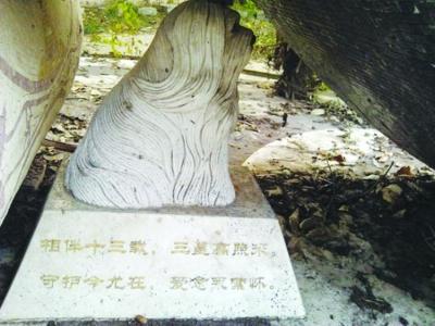 網(wǎng)傳南京現(xiàn)“千萬(wàn)元狗墓” 官方回應(yīng)：只是雕像