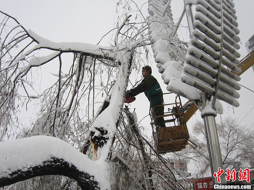 黑龍江鶴崗遭遇50年一遇暴雪(圖)